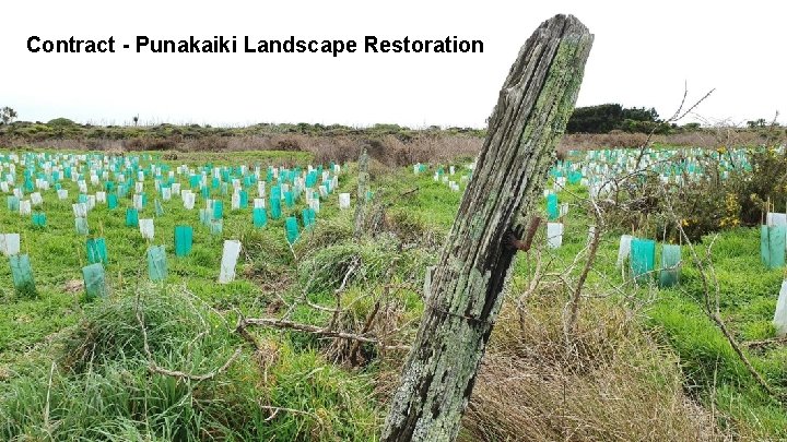 Contract - Punakaiki Landscape Restoration 