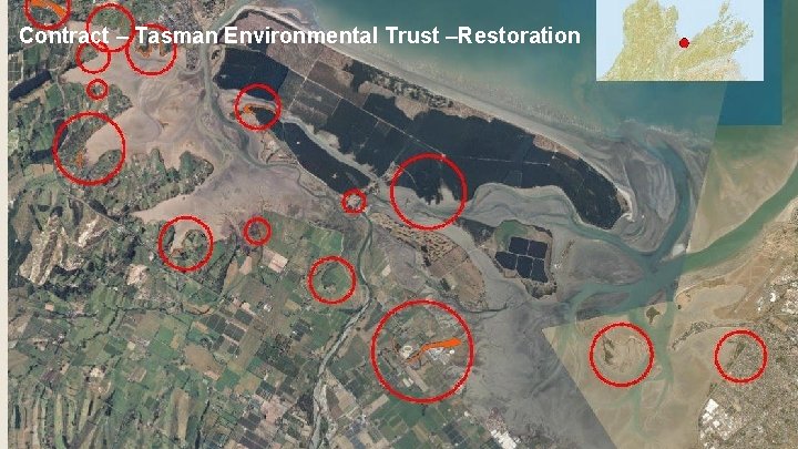 Contract – Tasman Environmental Trust –Restoration 