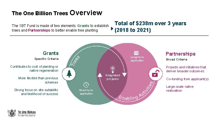 The One Billion Trees Overview The 1 BT Fund is made of two elements: