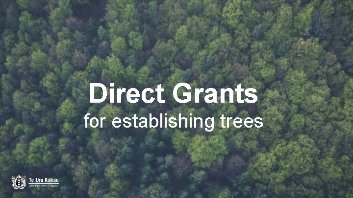 Direct Grants for establishing trees 