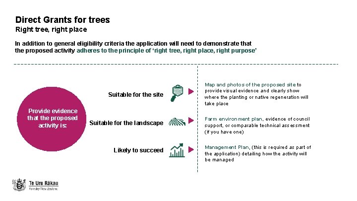 Direct Grants for trees Right tree, right place In addition to general eligibility criteria