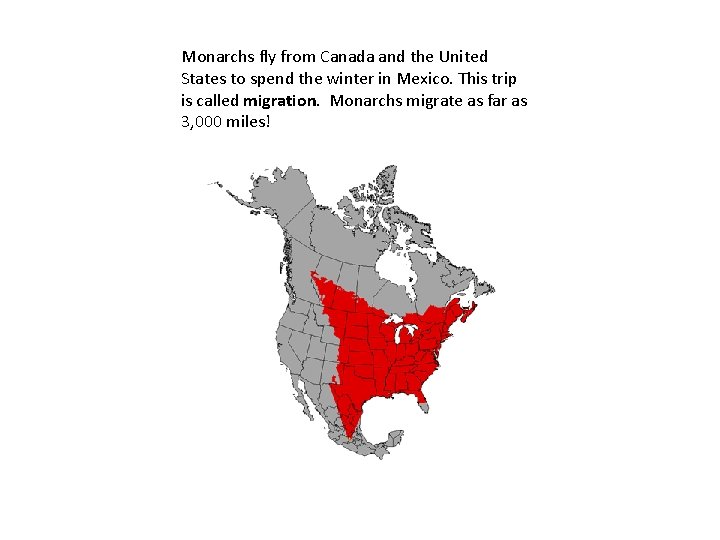 Monarchs fly from Canada and the United States to spend the winter in Mexico.