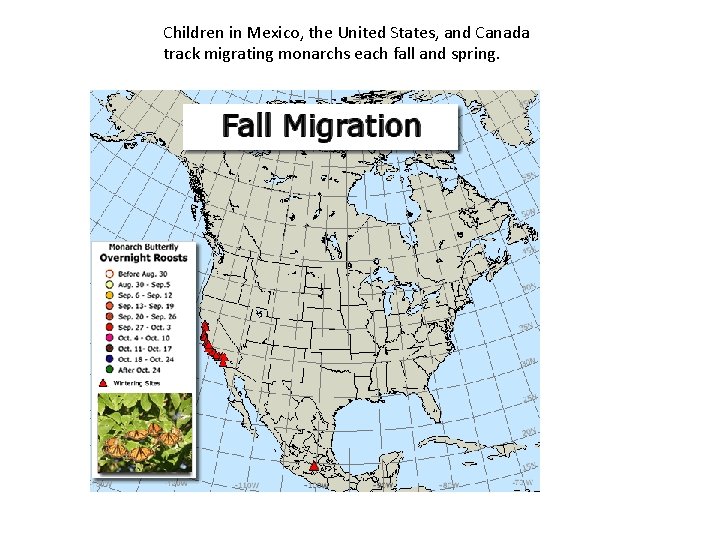 Children in Mexico, the United States, and Canada track migrating monarchs each fall and