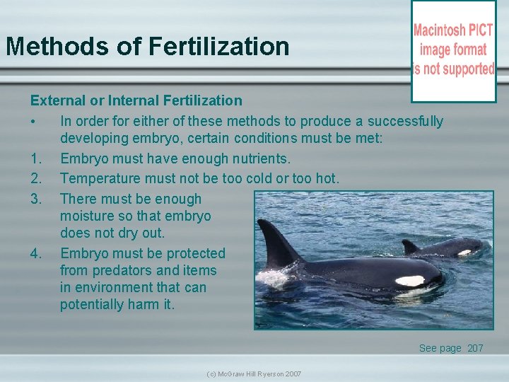 Methods of Fertilization External or Internal Fertilization • In order for either of these