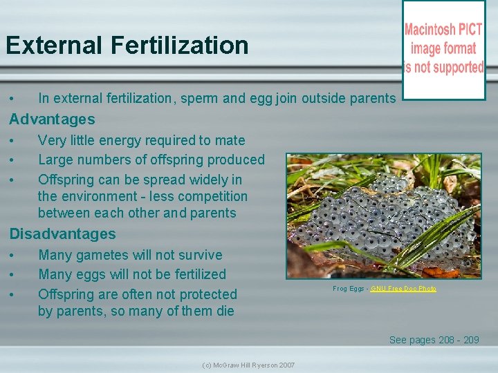 External Fertilization • In external fertilization, sperm and egg join outside parents Advantages •