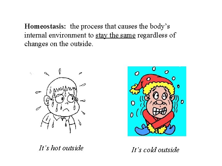Homeostasis: the process that causes the body’s internal environment to stay the same regardless