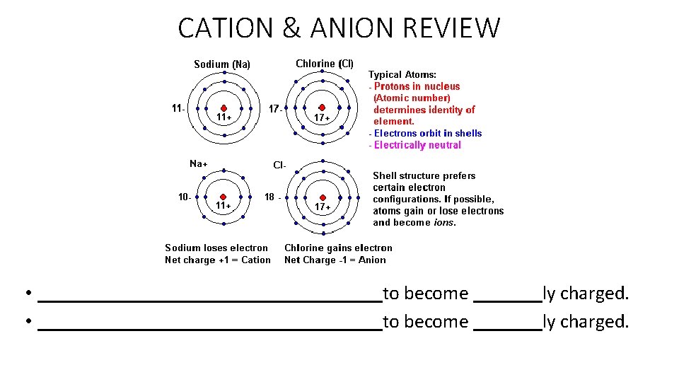 CATION & ANION REVIEW • ___________________________________to become _______ly charged. 