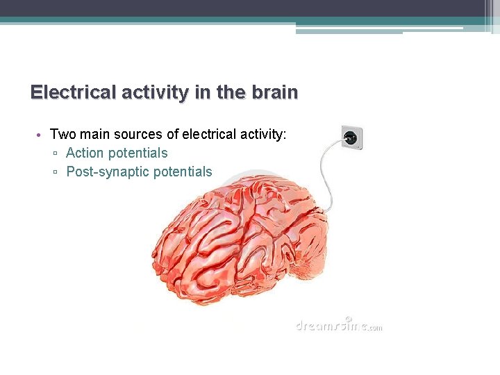 Electrical activity in the brain • Two main sources of electrical activity: ▫ Action