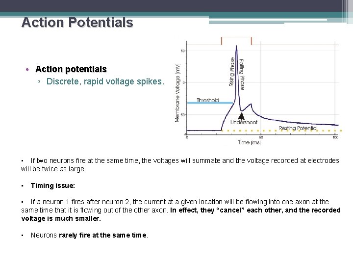 Action Potentials • Action potentials ▫ Discrete, rapid voltage spikes. • If two neurons