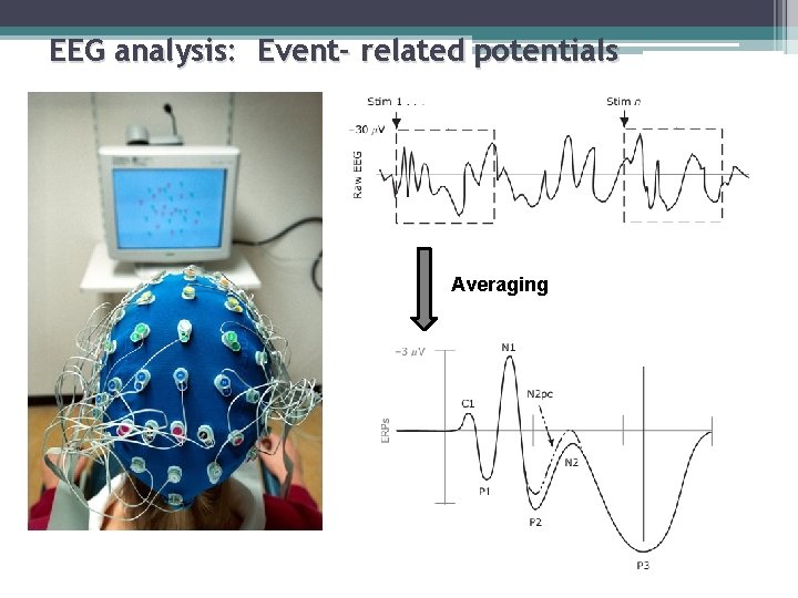 EEG analysis: Event- related potentials Averaging 
