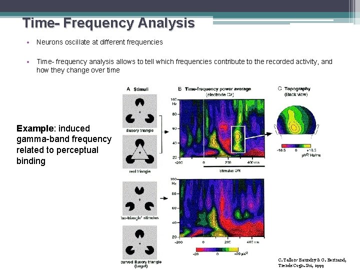 Time- Frequency Analysis • Neurons oscillate at different frequencies • Time- frequency analysis allows