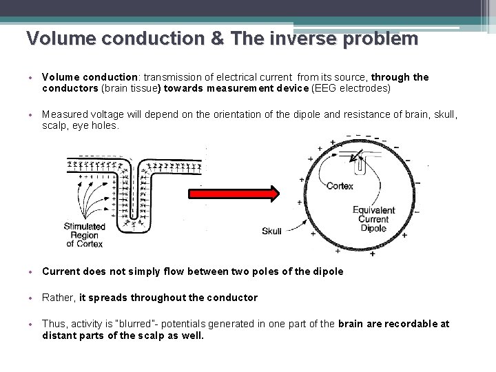 Volume conduction & The inverse problem • Volume conduction: transmission of electrical current from