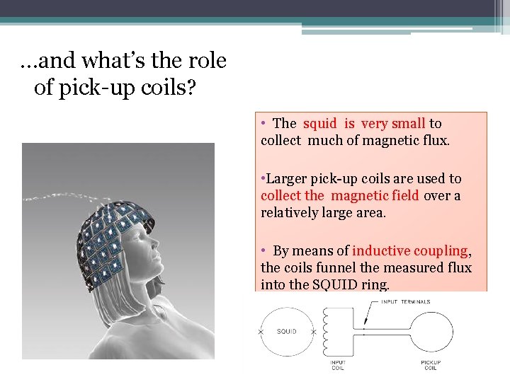 …and what’s the role of pick-up coils? • The squid is very small to