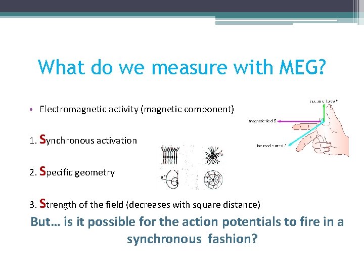 What do we measure with MEG? • Electromagnetic activity (magnetic component) 1. Synchronous activation