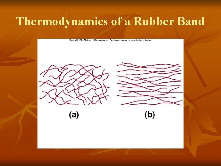 Thermodynamics of a Rubber Band 
