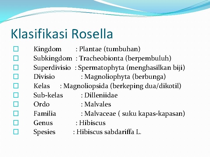 Klasifikasi Rosella � � � � � Kingdom : Plantae (tumbuhan) Subkingdom : Tracheobionta