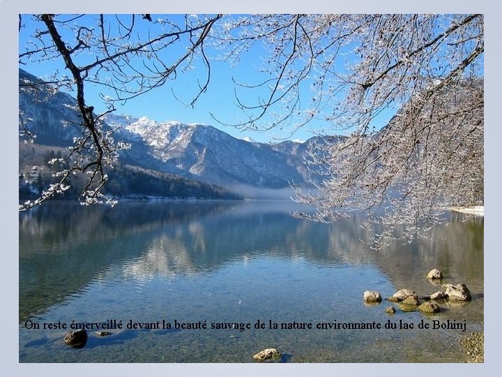 On reste émerveillé devant la beauté sauvage de la nature environnante du lac de