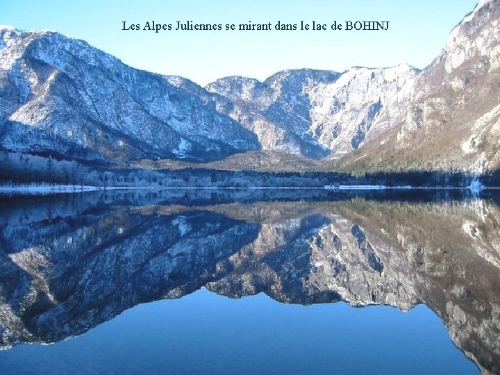 Les Alpes Juliennes se mirant dans le lac de BOHINJ 