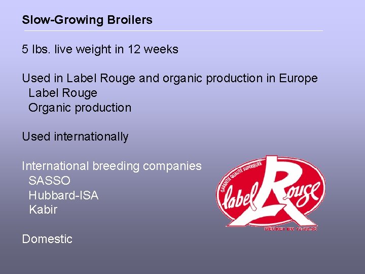 Slow-Growing Broilers 5 lbs. live weight in 12 weeks Used in Label Rouge and