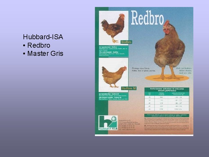 Hubbard-ISA • Redbro • Master Gris 