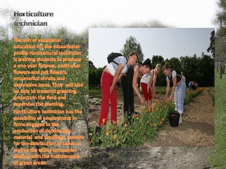 Horticulture technician The aim of vocational education for the educational profile Horticultural techintian is