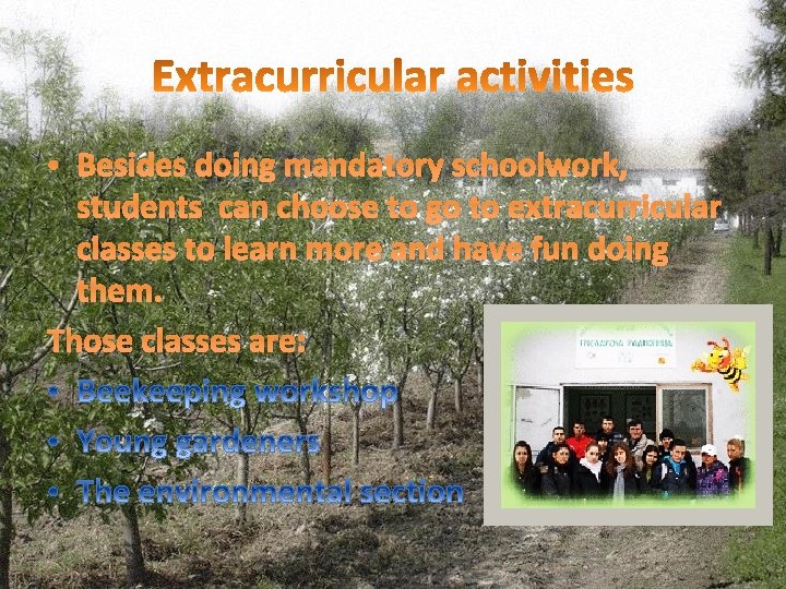  • Besides doing mandatory schoolwork, students can choose to go to extracurricular classes