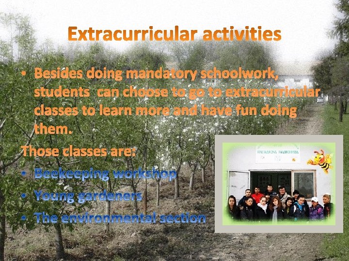 • Besides doing mandatory schoolwork, students can choose to go to extracurricular classes • Besides doing mandatory schoolwork, students can choose to go to extracurricular classes