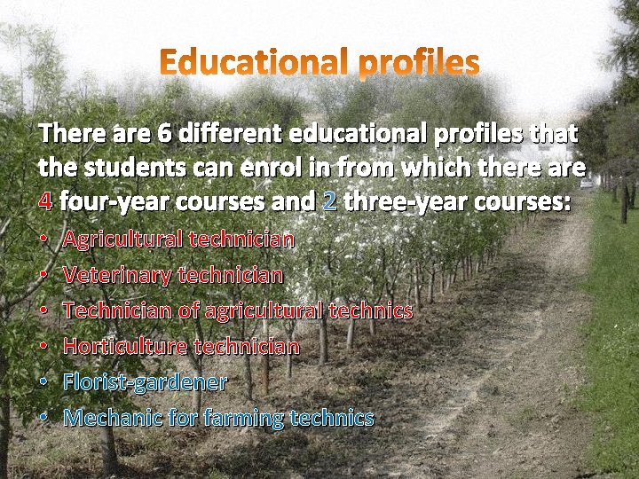There are 6 different educational profiles that the students can enrol in from which There are 6 different educational profiles that the students can enrol in from which