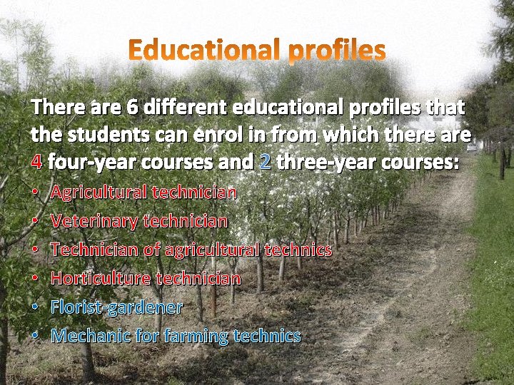 There are 6 different educational profiles that the students can enrol in from which