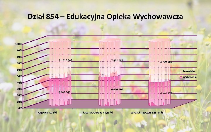 Dział 854 – Edukacyjna Opieka Wychowawcza 100% 90% 80% 11 612 048 70% 7