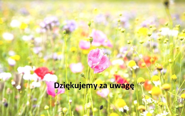 Dziękujemy za uwagę 