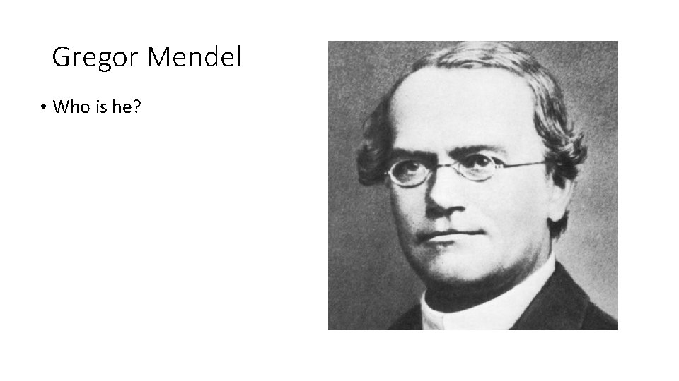 Gregor Mendel • Who is he? 