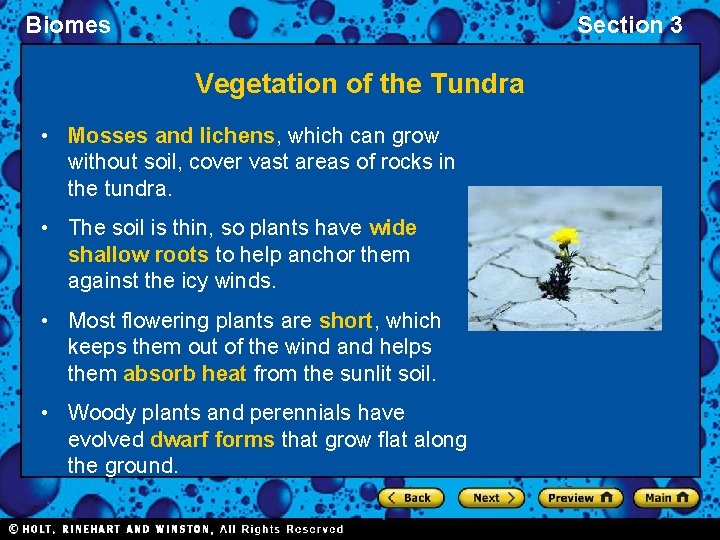 Biomes Section 3 Vegetation of the Tundra • Mosses and lichens, which can grow