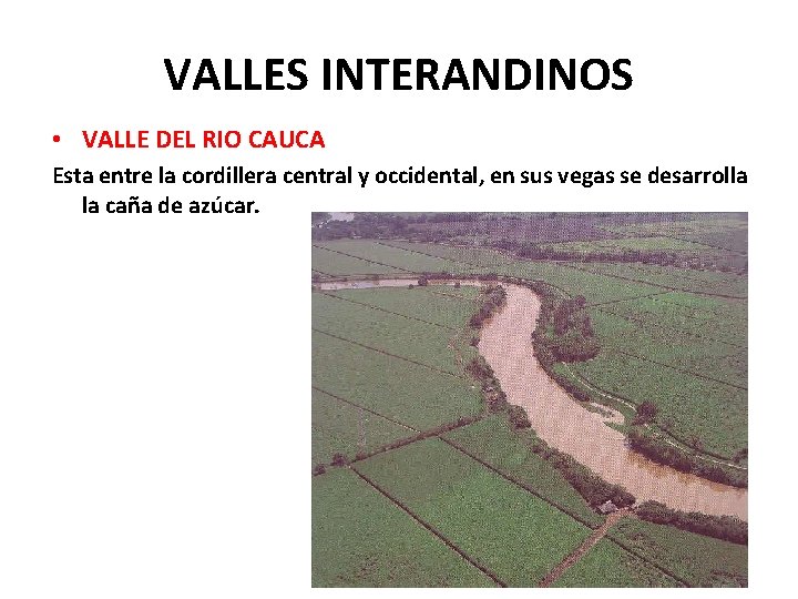 VALLES INTERANDINOS • VALLE DEL RIO CAUCA Esta entre la cordillera central y occidental,