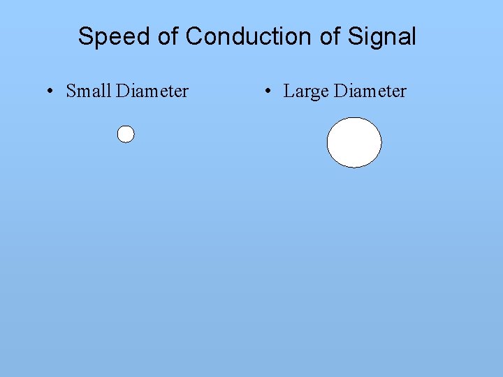 Speed of Conduction of Signal • Small Diameter • Large Diameter 