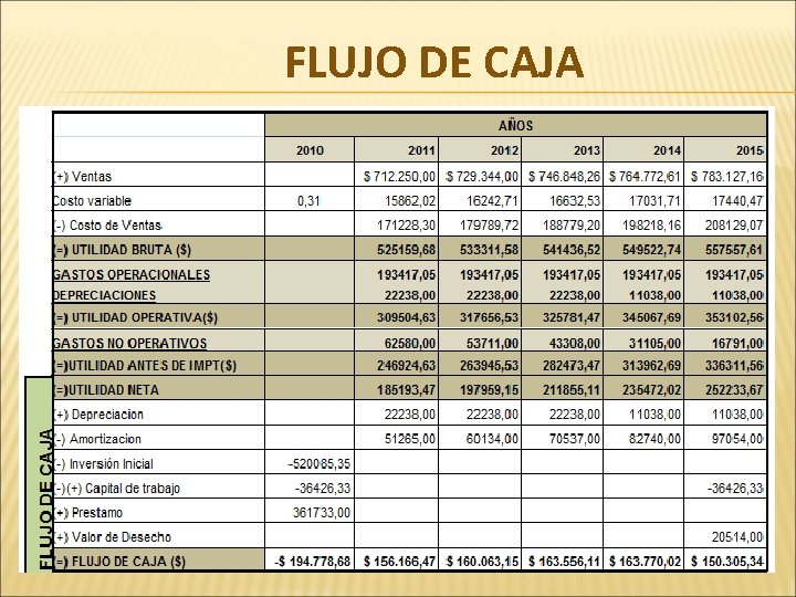 FLUJO DE CAJA 