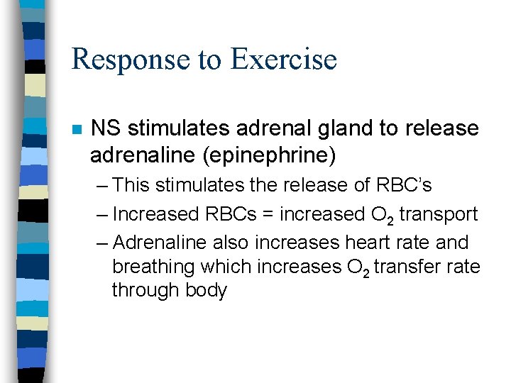 Response to Exercise n NS stimulates adrenal gland to release adrenaline (epinephrine) – This