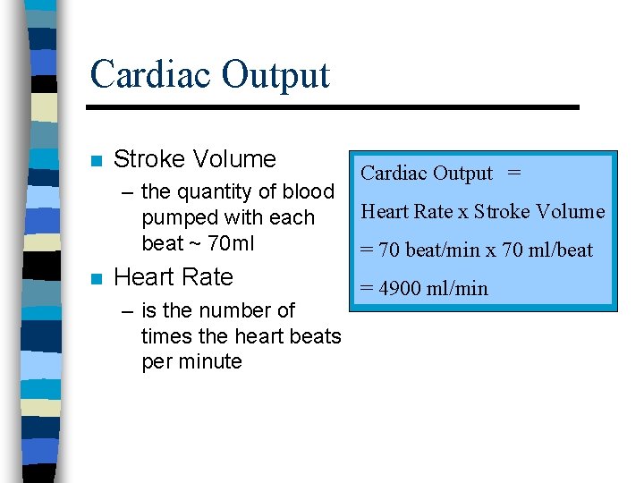 Cardiac Output n Stroke Volume – the quantity of blood pumped with each beat