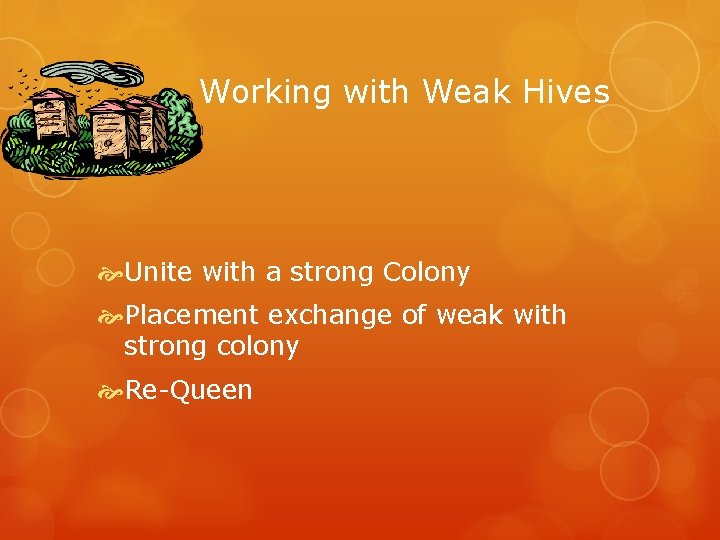 Working with Weak Hives Unite with a strong Colony Placement exchange of weak with