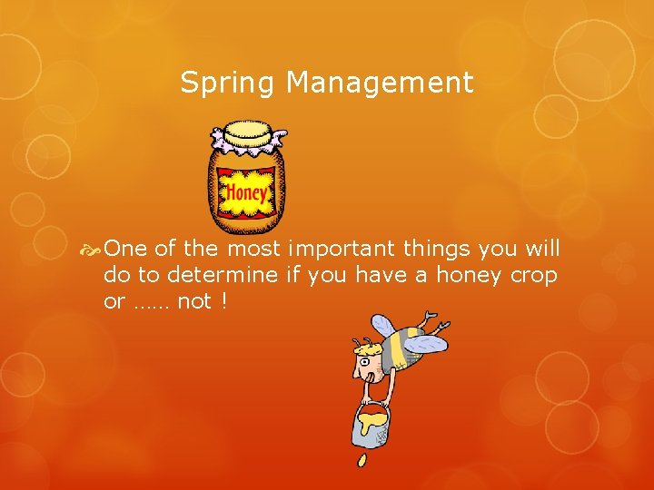 Spring Management One of the most important things you will do to determine if