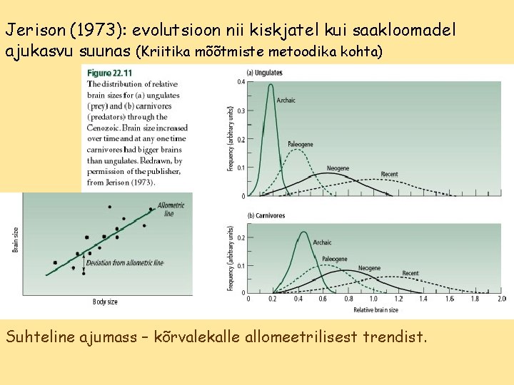 Jerison (1973): evolutsioon nii kiskjatel kui saakloomadel ajukasvu suunas (Kriitika mõõtmiste metoodika kohta) Suhteline