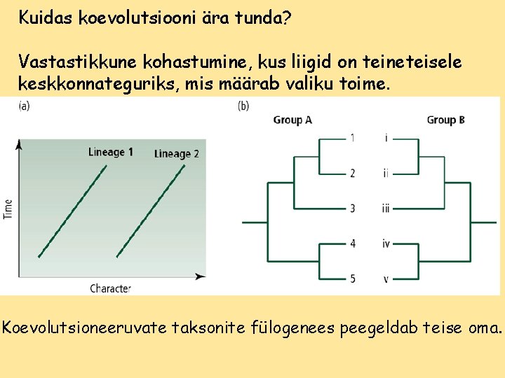 Kuidas koevolutsiooni ära tunda? Vastastikkune kohastumine, kus liigid on teineteisele keskkonnateguriks, mis määrab valiku