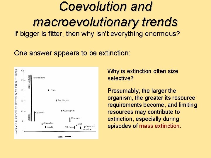 Coevolution and macroevolutionary trends If bigger is fitter, then why isn’t everything enormous? One