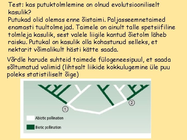 Test: kas putuktolmlemine on olnud evolutsiooniliselt kasulik? Putukad olid olemas enne õistaimi. Paljasseemnetaimed enamasti