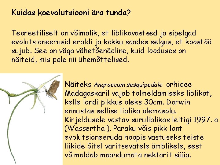 Kuidas koevolutsiooni ära tunda? Teoreetiliselt on võimalik, et liblikavastsed ja sipelgad evolutsioneerusid eraldi ja