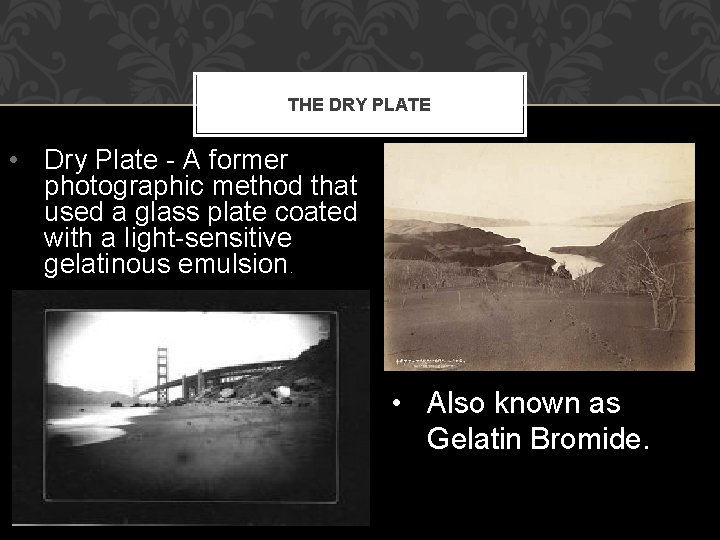 THE DRY PLATE • Dry Plate - A former photographic method that used a THE DRY PLATE • Dry Plate - A former photographic method that used a
