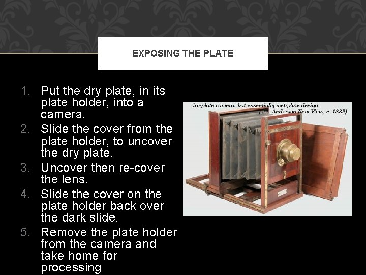 EXPOSING THE PLATE 1. Put the dry plate, in its plate holder, into a EXPOSING THE PLATE 1. Put the dry plate, in its plate holder, into a