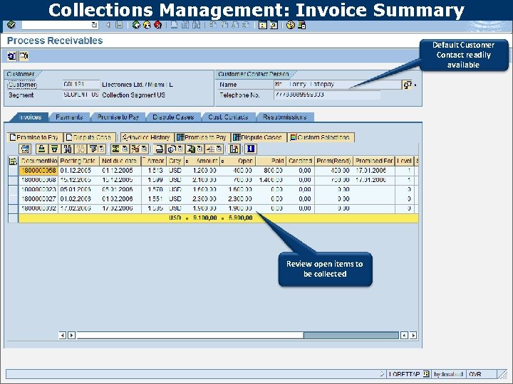 Collections Management: Invoice Summary Text Default Customer Contact readily available Review open items to