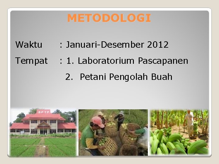 METODOLOGI Waktu : Januari-Desember 2012 Tempat : 1. Laboratorium Pascapanen 2. Petani Pengolah Buah