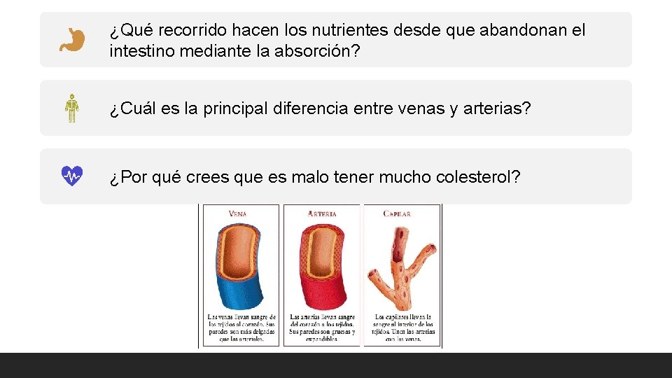 ¿Qué recorrido hacen los nutrientes desde que abandonan el intestino mediante la absorción? ¿Cuál